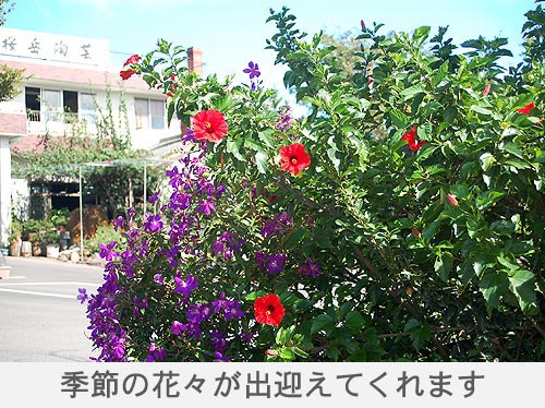 花々や木々に囲まれた桜岳陶芸