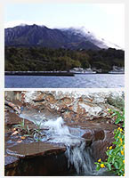 桜島と桜島焼
